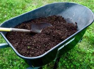 Compost